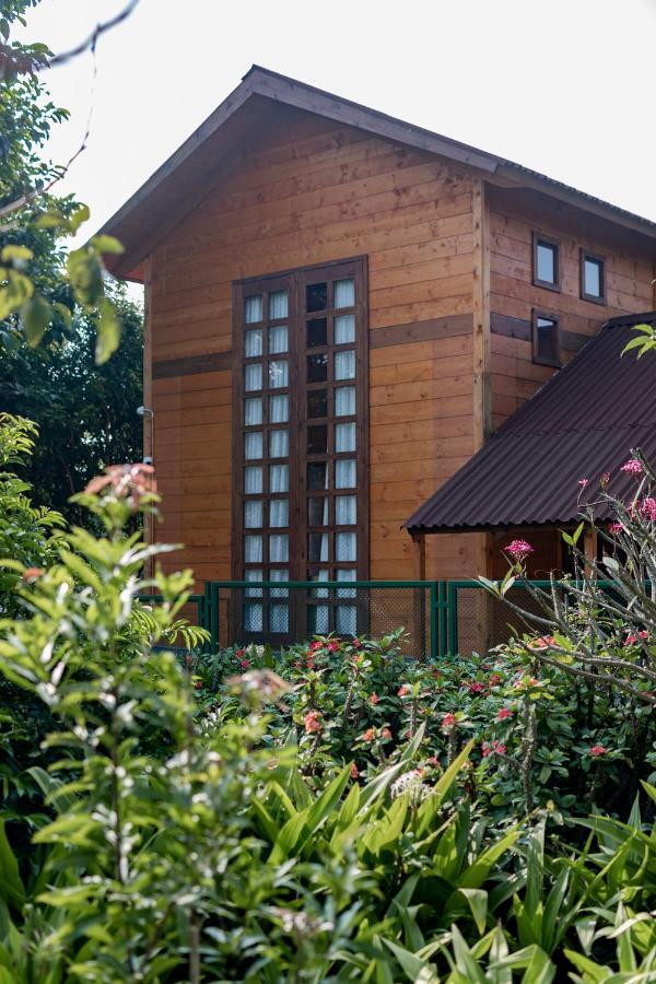The Pine Loft Villa Bangalore Buitenkant foto